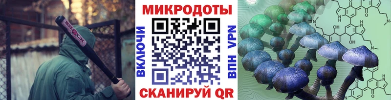 кракен как войти  Строитель  Псилоцибиновые грибы Psilocybe 